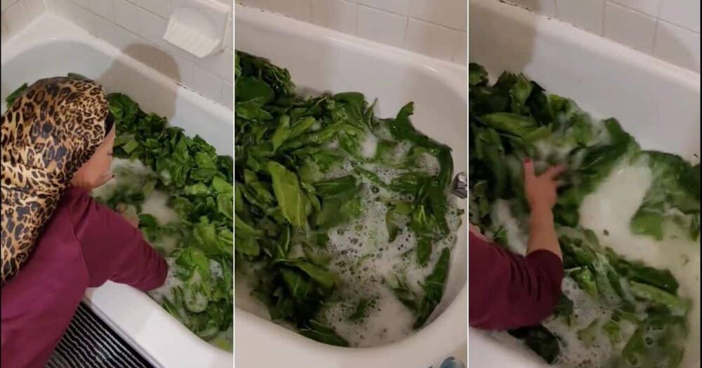 Woman washing sukuma wiki in a bathtub.