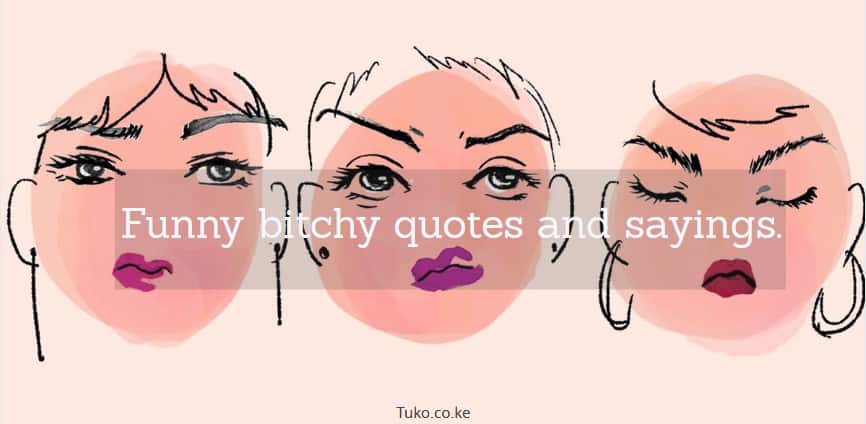 bitchy quotes, bitchy meaning, spiteful quotes