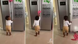 Mischievous Little Boy Using Trick To Open Locked Fridge Amazes Netizens: “Parenting is a Test”