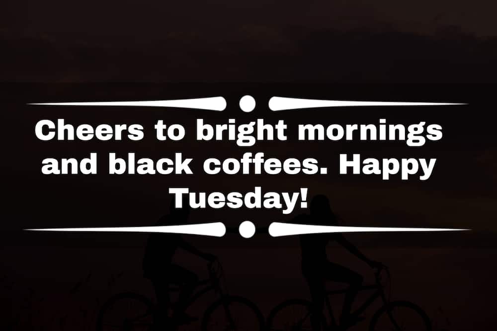 Happy Tuesday my love! 100+ best message, wishes, SMS ideas