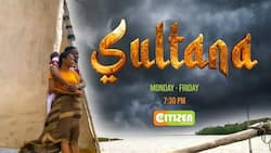 Sultana actors and actresses real names, profiles, and photos