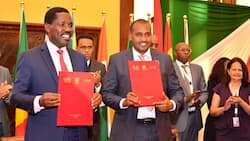 G25 Summit: Coffee Producers Sign Nairobi Declaration to Include Coffee among Strategic Agricultural Commodities
