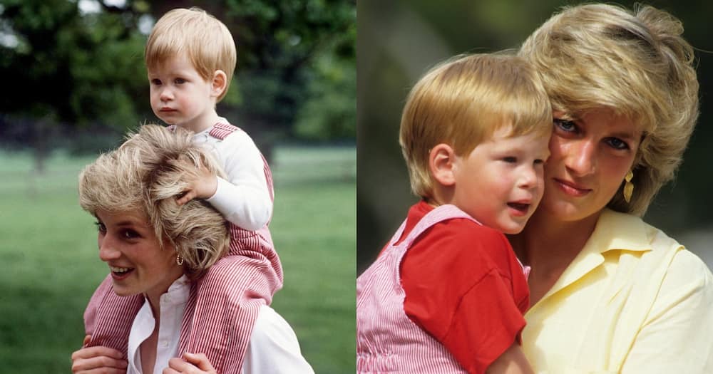 Royal Expert Says Princess Diana Would Be Proud of Son Prince Harry