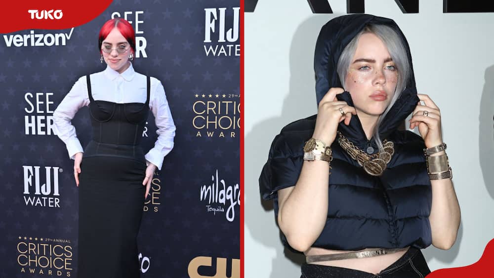 Billie Eilish (L) at the 29th Annual Critics Choice Awards and the launch of The Coco Club celebrated in 2017