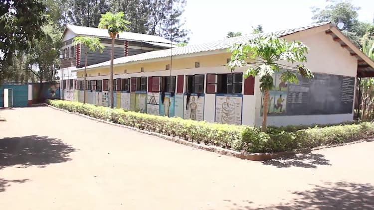 Kirinyaga: School owner transforms playground into vegetable farm as COVID-19 effects persist