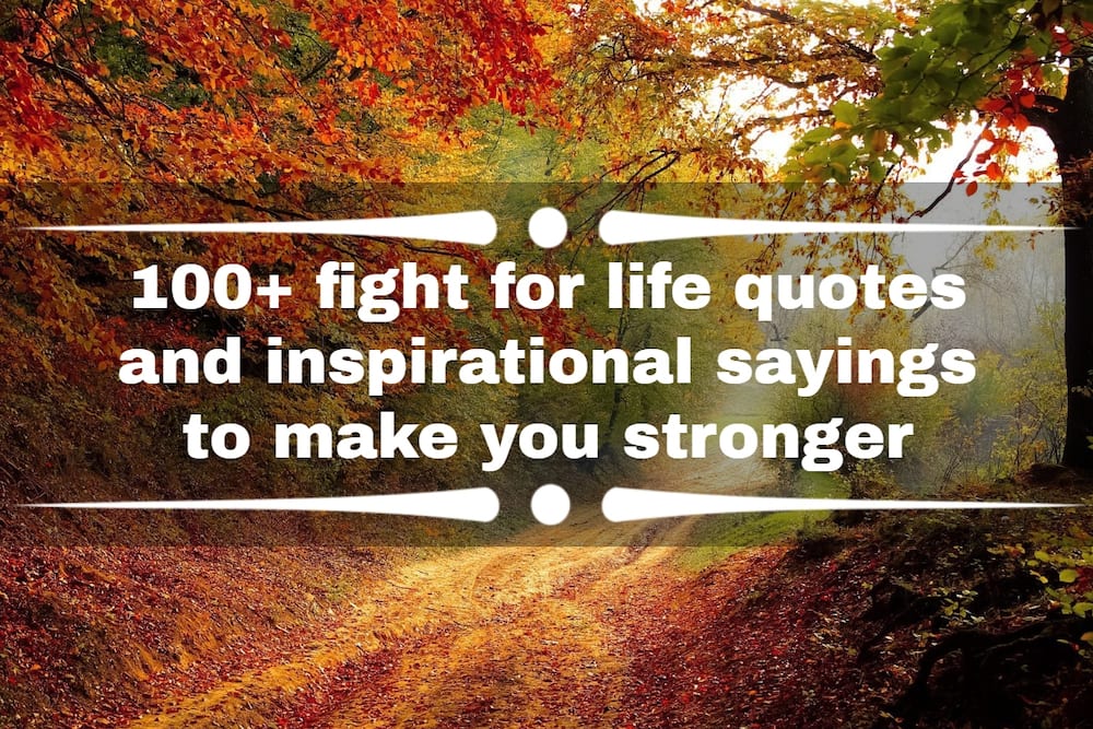 fight for life quotes