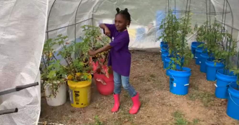 Kendall Rae Johnson has made history as the youngest farmer in Georgia. Photo: ABC News.