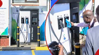 business plan for electric vehicle charging station