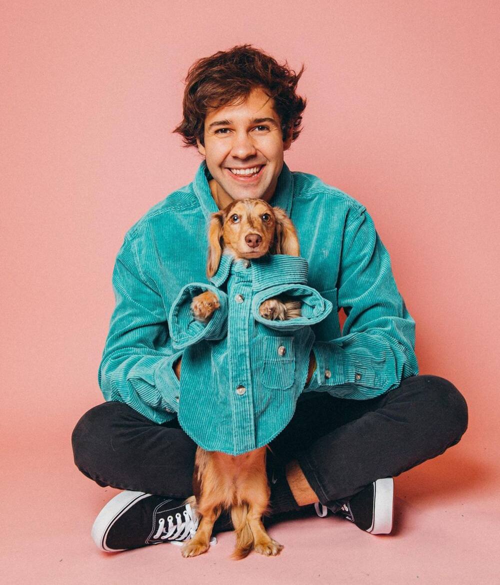 David Dobrik Net Worth, Age, Height, Bio, Children, Husband, Family, Parents