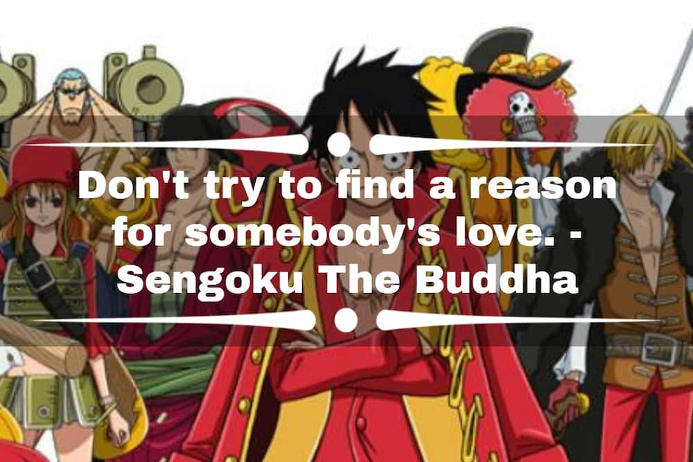 One Piece quotes