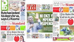 Kenyan Newspapers Review: Detectives Grill Kawira Mwangaza's Husband Over Blogger's Murder