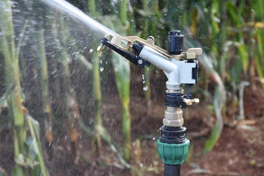 Amazing services, products Kenya’s best irrigation systems company provide