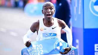 Eliud Kipchoge: William Ruto Leads Kenyans in Congratulating Marathon Legend after Breaking World Record Again