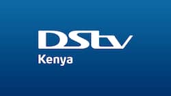 15 best reality shows on DStv that you should watch in 2023