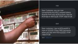 KCB Bank Gets Green Light to Offer KPLC Token Purchase Services