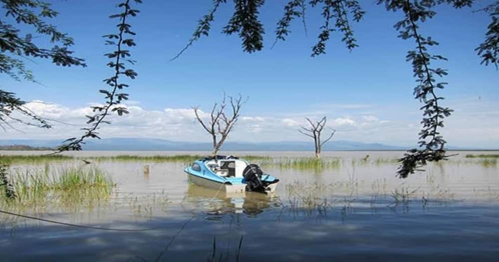 Baringo: Schools reopening chaotic as most institutions get submerged in lake water