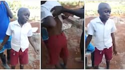 Viral Video of Schoolboy Pleading for Help after Being Mistreated Irks Kenyans: "They Want 400 Marks"