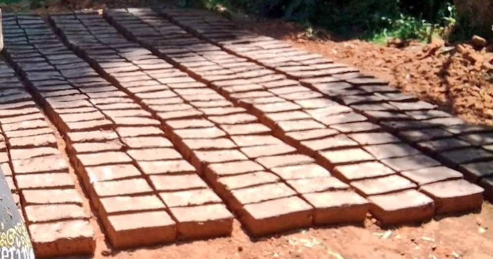 TUK engineering student impresses Kenyans with brick making hustle