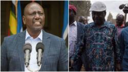 William Ruto Cautions Raila Odinga Against Organising Demonstrations: "It Works for Nobody"