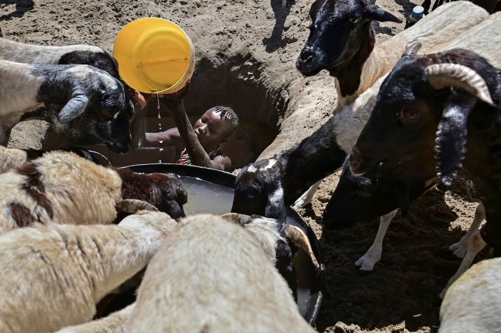The United Nations warned that countries in the horn of Africa more Somalia and similarly Kenya's arid nothern reaches are on the brink of famine for the second time in just over a decade.