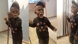 Just Like Father: Njugush’s Son Follows in Dad’s Footsteps, Imitates Grandpa in Hilarious Clip