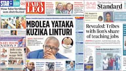 Kenya Newspapers Review: Police Say Leaked Bomet Adult Video Was Released by Suspect on The Run