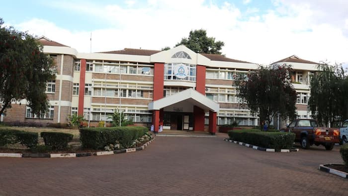 Top 10 Best universities in Kenya (2017) Tuko.co.ke