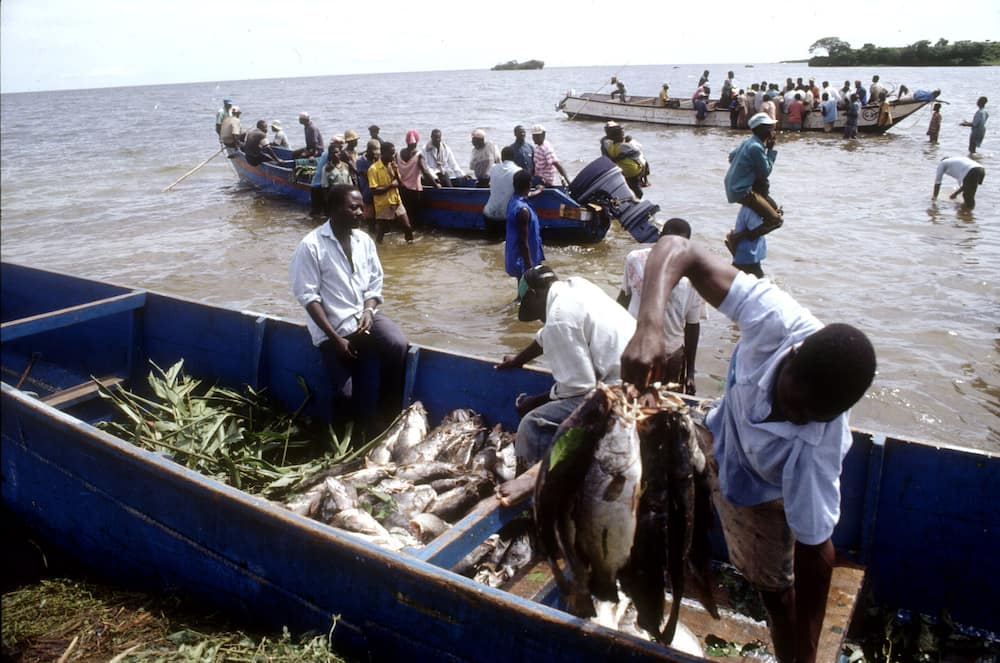 Wavuvi 7 Wakenya wakamatwa na polisi wa Uganda kaunti ya Homa Bay