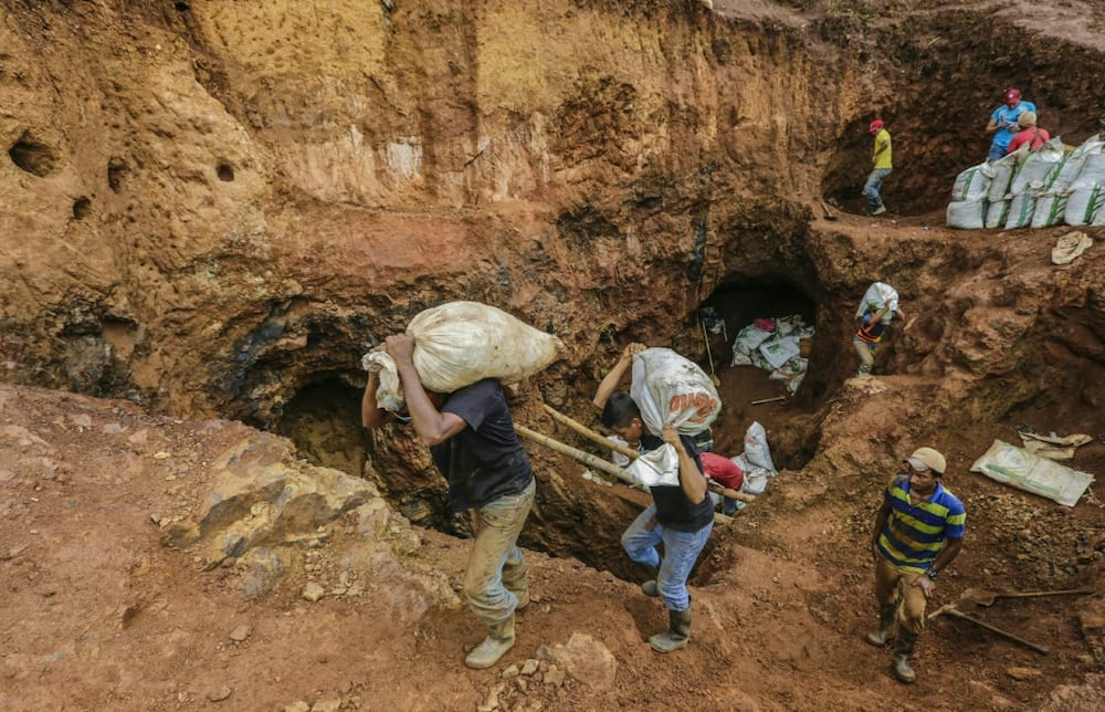 Miners carry sacks with rocks to be crushed in order to extract gold at a mine near Rosita in northeast Nicaragua.