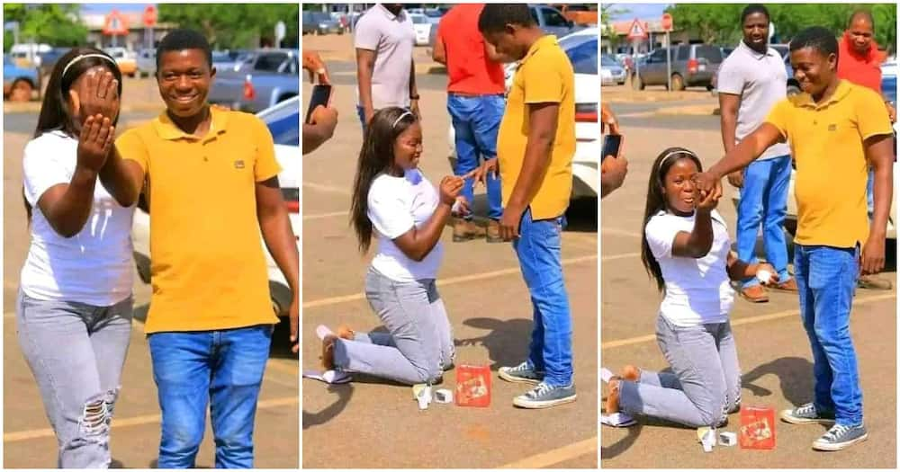 “The Girl Did Not Die”: Bold Lady Kneels With Ring in Public, Proposes