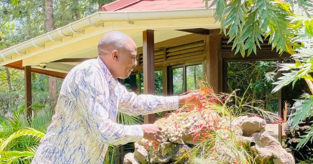 Kikuyu MP Kimani Ichung'wah shows off a fleet of wheelbarrows he owns at his home