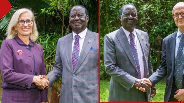 Raila Odinga Meets Top European Diplomats as He Firms Up His AUC Bid