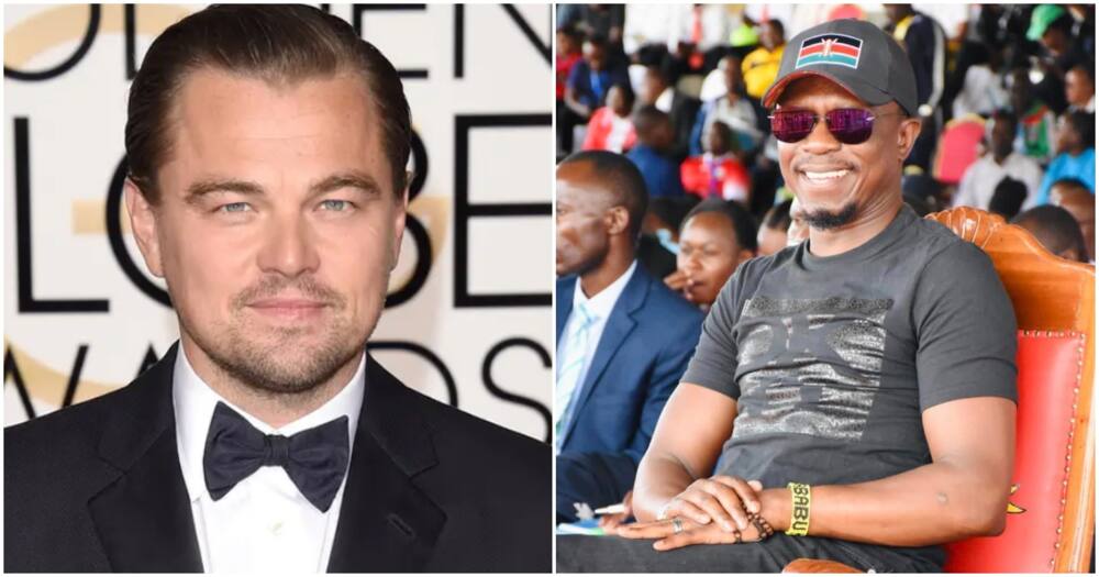 Leonardo DiCaprio, Ababu namwamba.