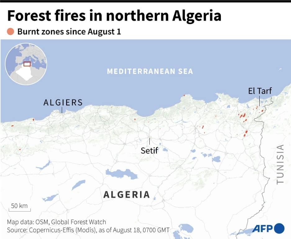 Forest fires in northern Algeria