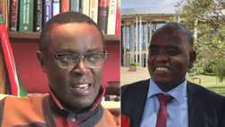 Mutahi Ngunyi amnyoa Dennis Itumbi, asema amelaaniwa kumkaidi Rais Uhuru