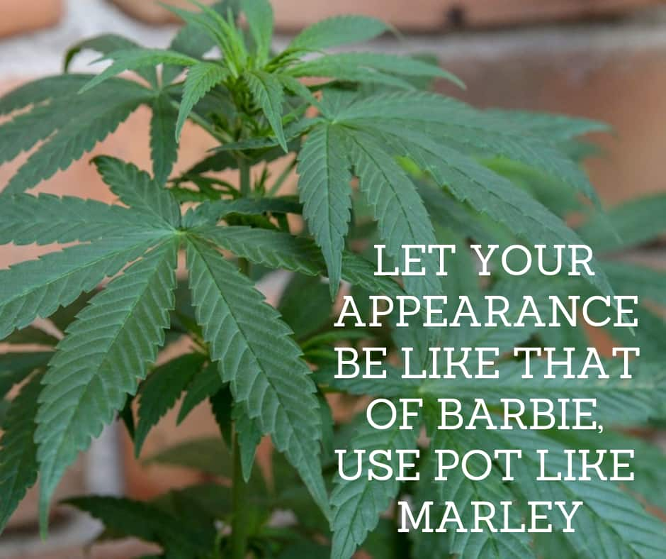 weed quotes for instagram