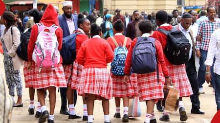 Gov't Sets Schools Reopening Date on May 13 after Postponement
