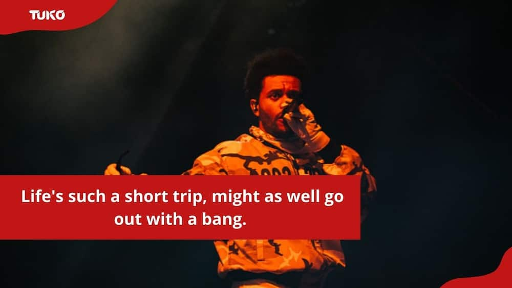 Earned it the Weeknd  Song quotes, The weeknd, Music lyrics