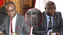 Godfrey Osotsi, Moses Kajwang' Ranked Best Senators as MPs Break For December Recess