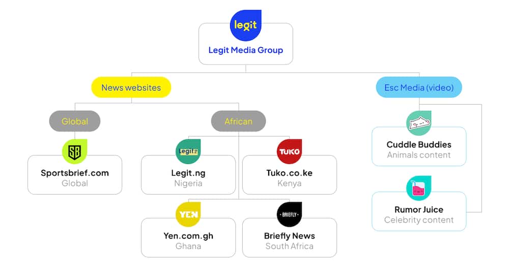 Legit Media Group is a holding company that is home to Africa's biggest digital media companies.