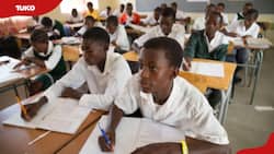 List of best extra county schools in Kiambu County to consider joining