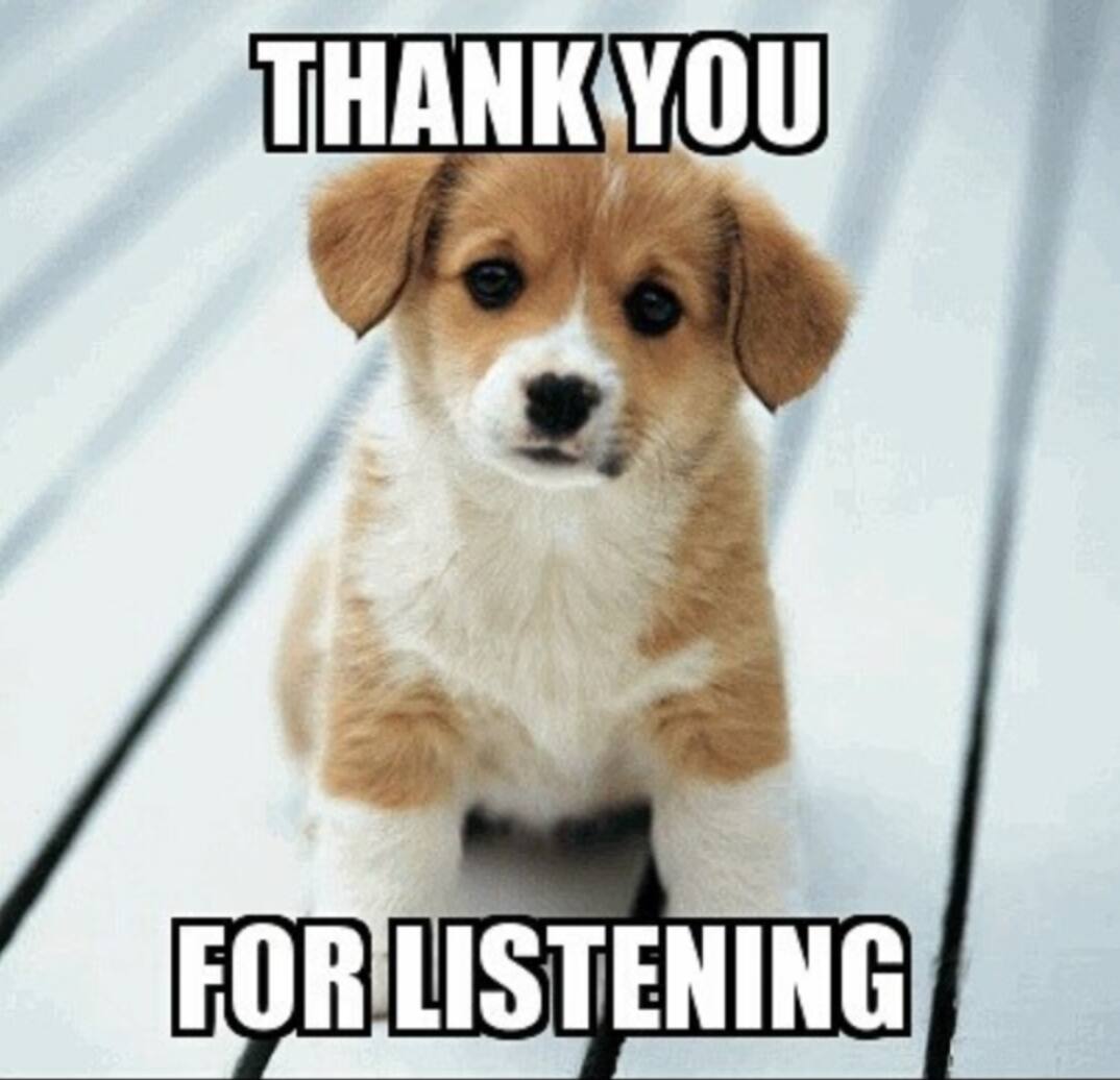 30 Funniest Thank You Memes To Show Your Appreciation To Friends - Tuko ...