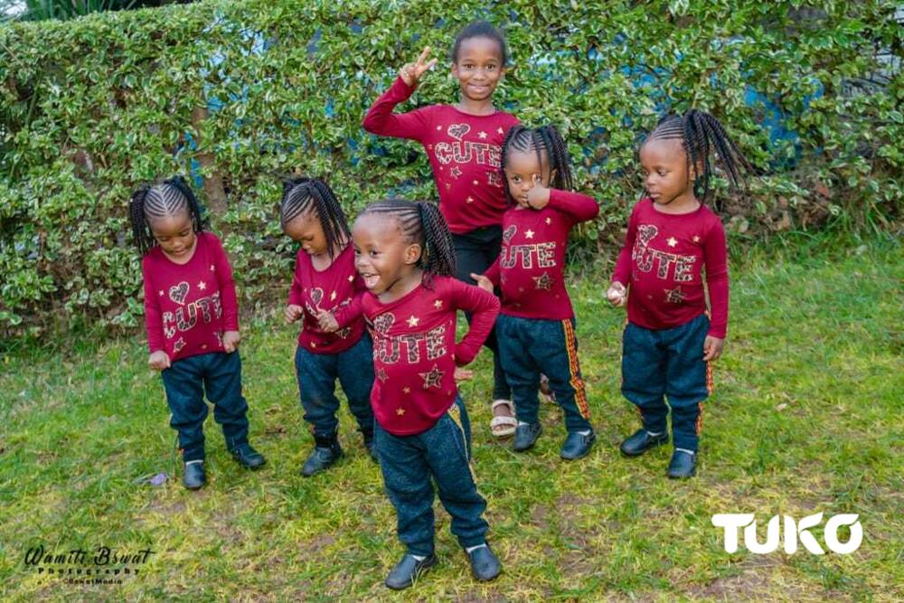 Nairobi woman reveals she's hired over 70 house helps while raising her quadruplets