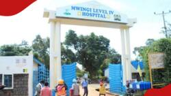 Mother and Twins Die in Mwingi After Doctors Fail to Detect Second Baby