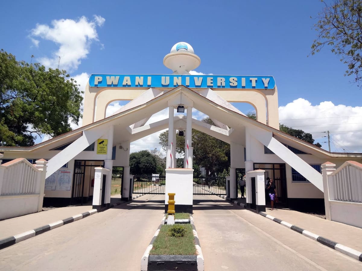 Pwani University courses offered in 2022 and contact details - Tuko.co.ke