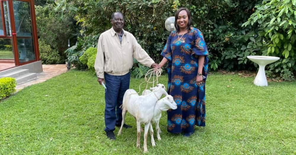 Nairobi Deputy Governor Visits Raila, Ida Odinga, Gifts them a Goat