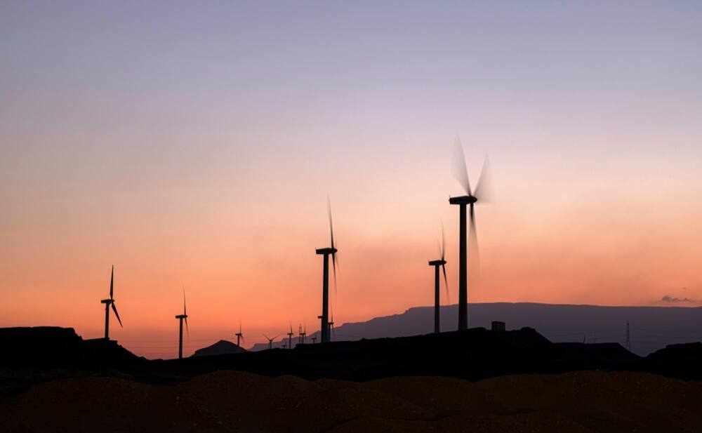 A wind farm on Egypt's Red Sea coast