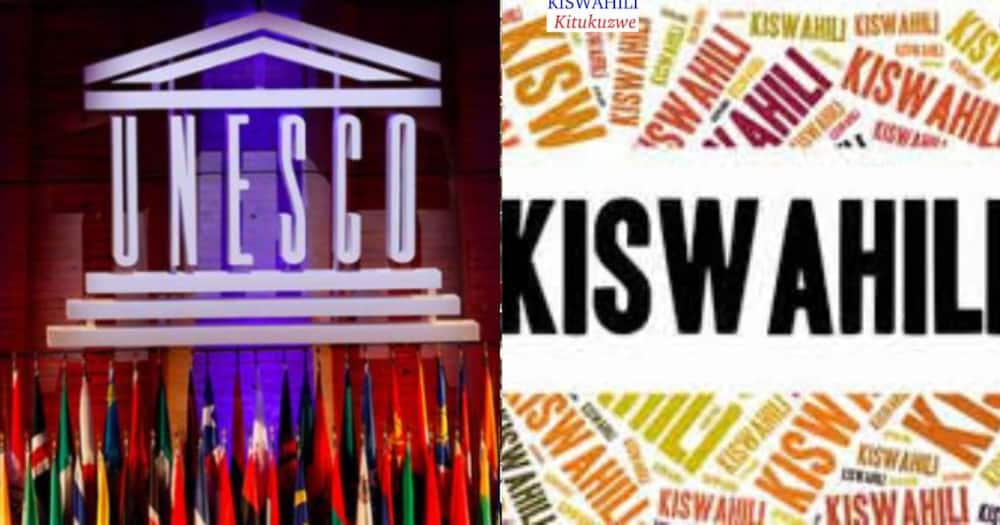 Siku ya Kiswahili Duniani: UNESCO Yatangaza Julai 7 Siku ya Kuadhimisha Kiswahili