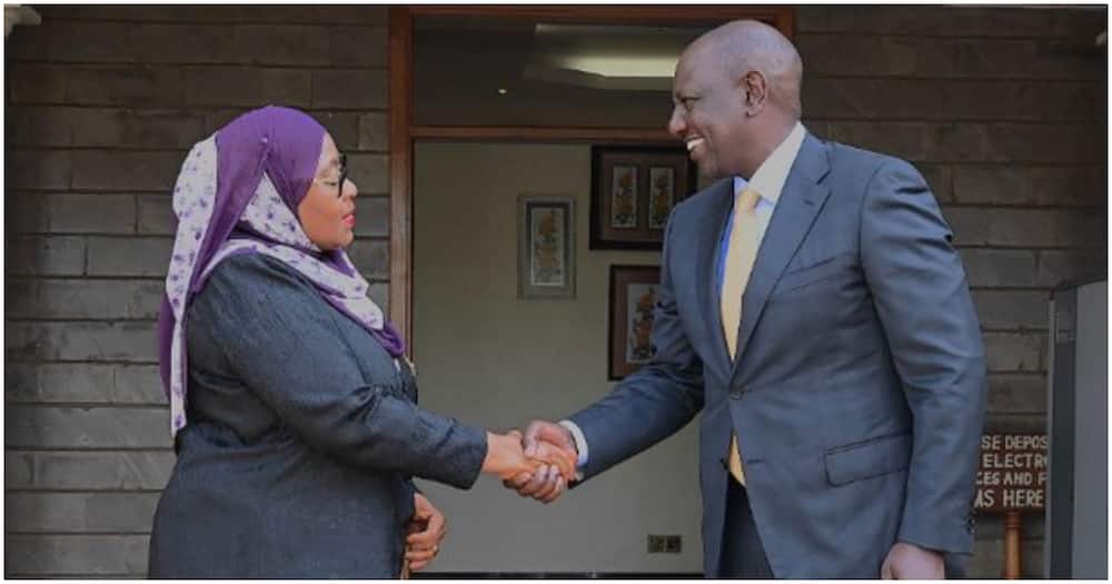 Samia Suluhu welcoming President William Ruto during his recent trip to Tanzania. Photo: @karoba_john.
