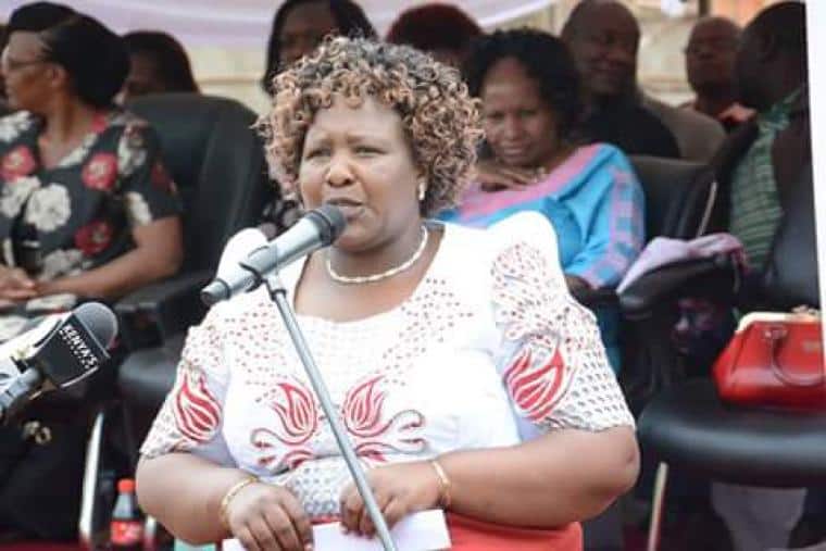 Senator Seneta faults Uhuru for transferring CSs from ministries facing graft